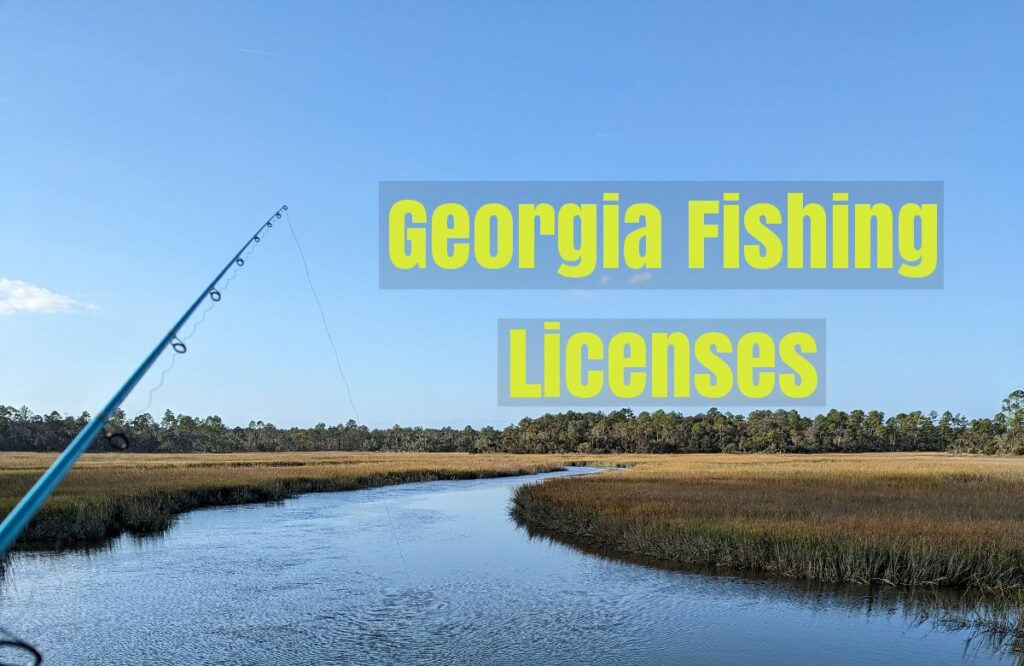 how-much-are-ga-fishing-licenses-daisy-outdoors