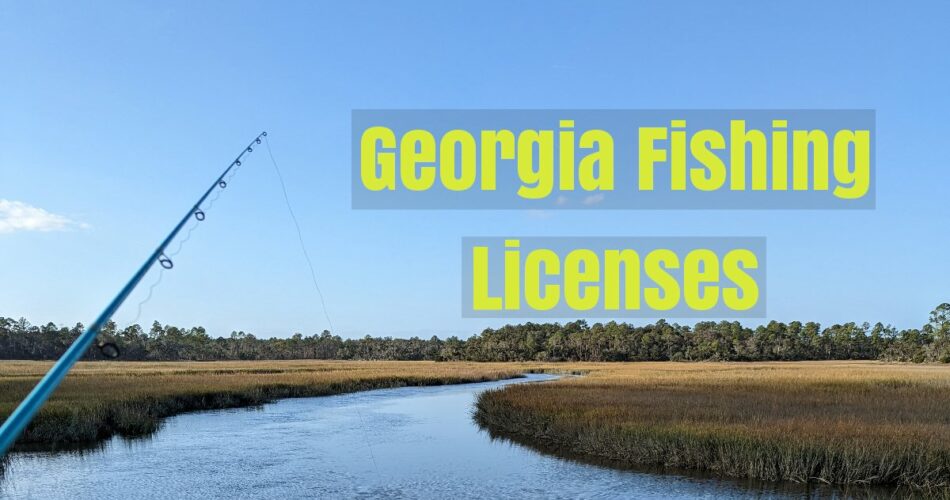 How much are GA fishing licenses? Daisy Outdoors