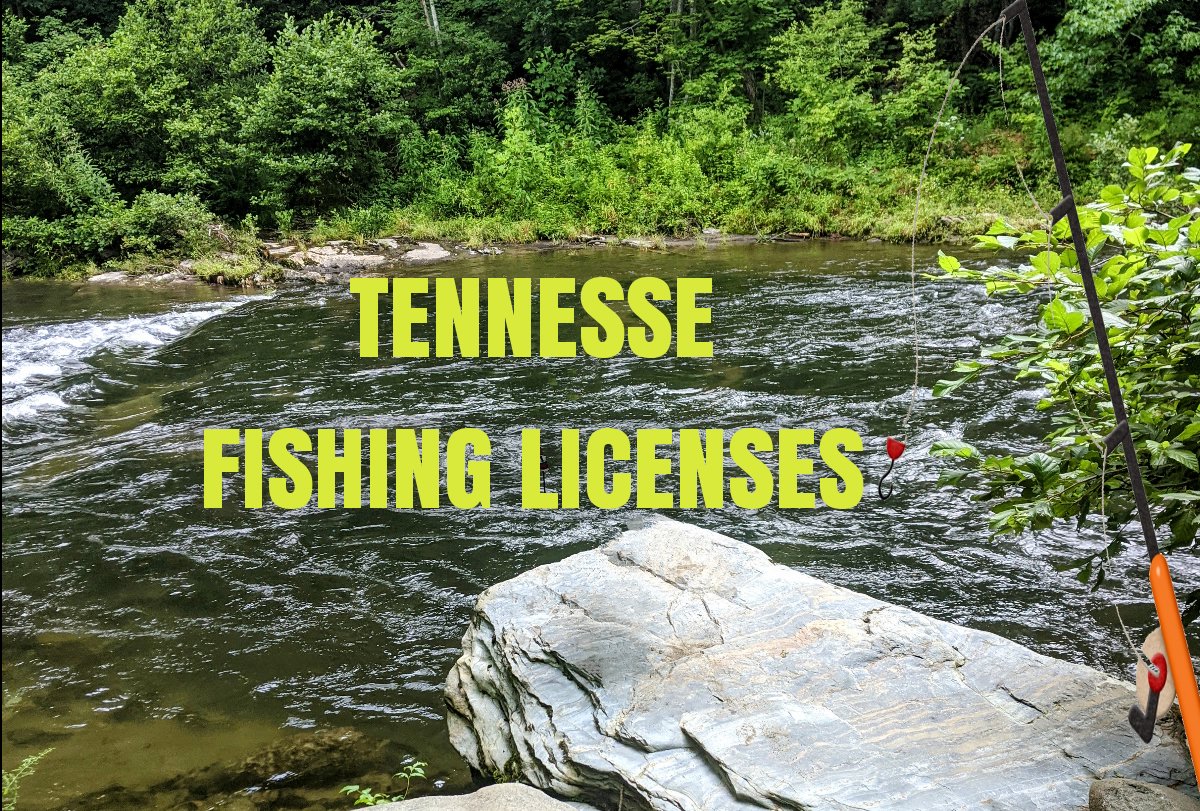 How much are TN fishing licenses? Daisy Outdoors